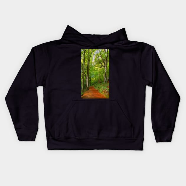 Cotswolds Forest Footpath Kids Hoodie by Graz-Photos